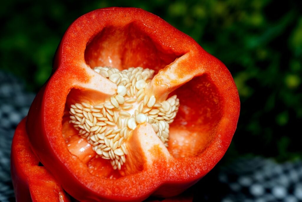 Sliced red bell pepper with seeds