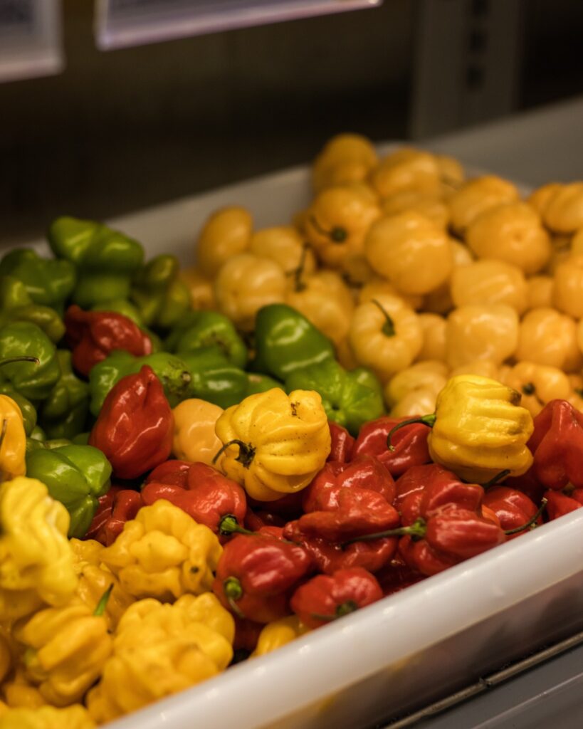 Red, green and yellow habanero peppers in white container