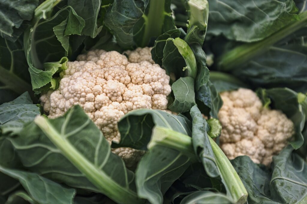Close up photo of cauliflowers
