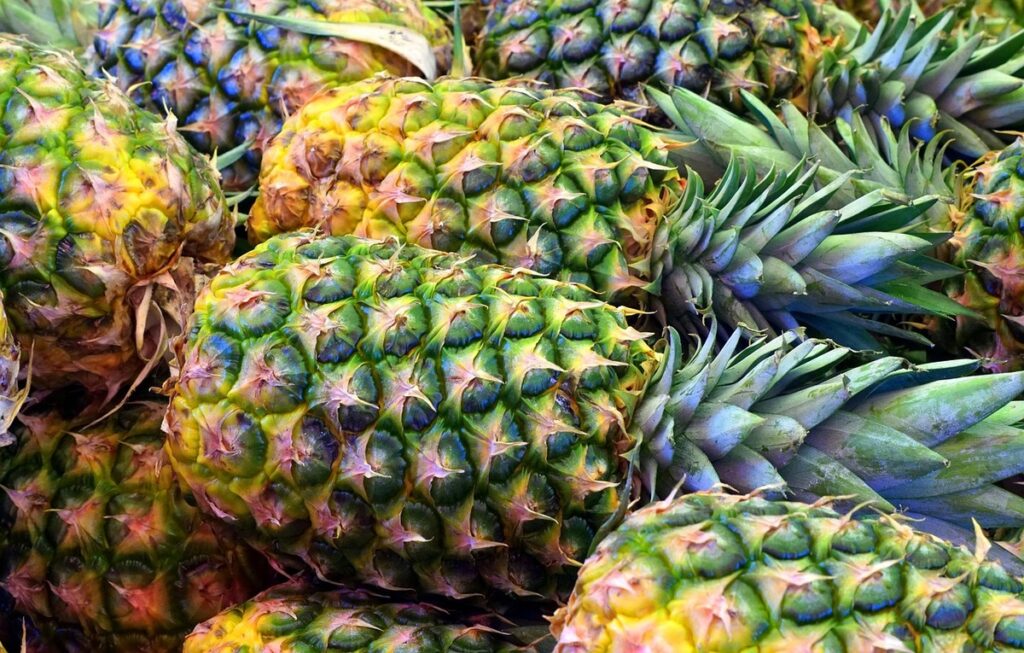 A pile of ripe pineapples