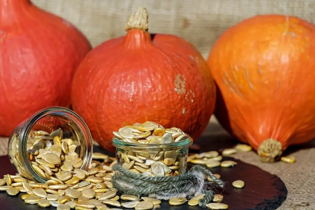 Pumpkin seeds in a jar with three big pumpkins as background