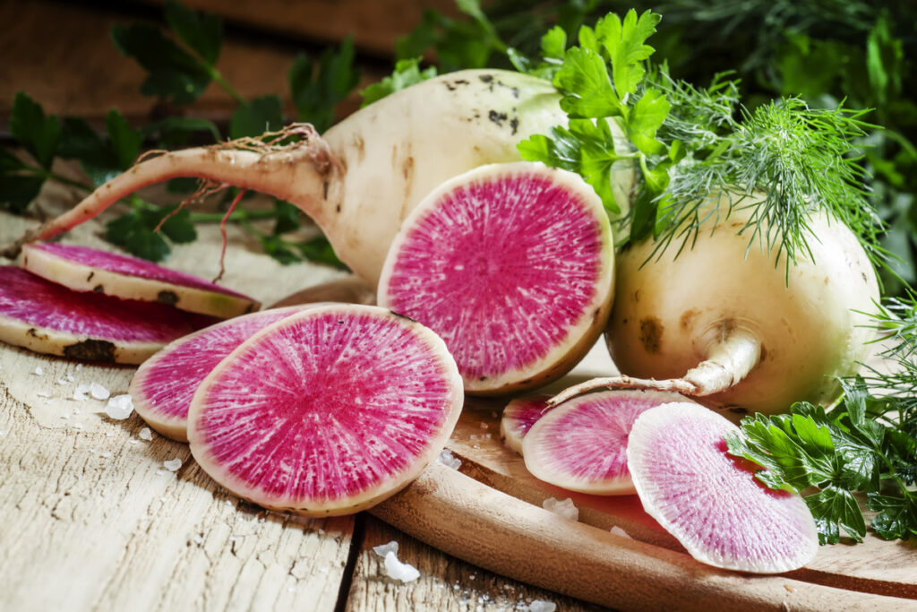 Slices of pink watermelon radish on a wooden table with parsley and dill