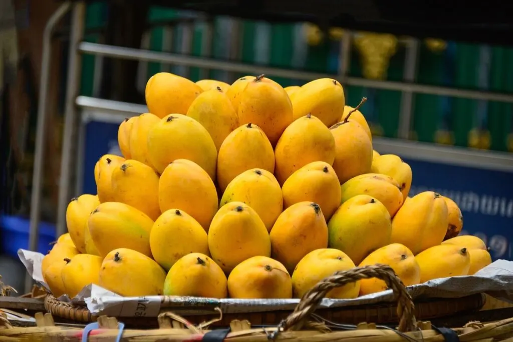 Ripe mangoes stacked together